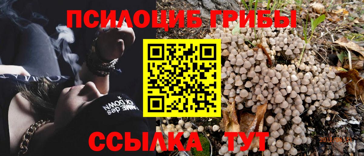 купить  сайты  Вход с VPN  Алексеевка  Псилоцибиновые грибы MAGIC MUSHROOMS 